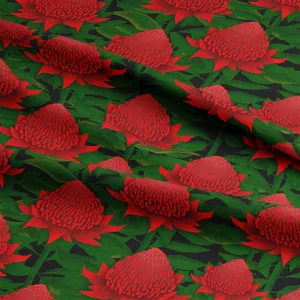 Majestic Waratahs - Pre-Order