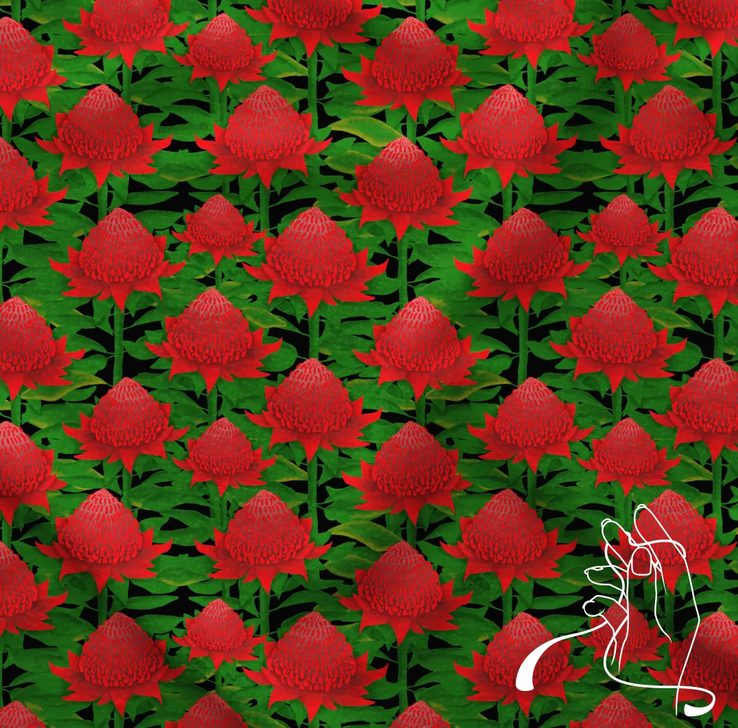 Majestic Waratahs - Pre-Order
