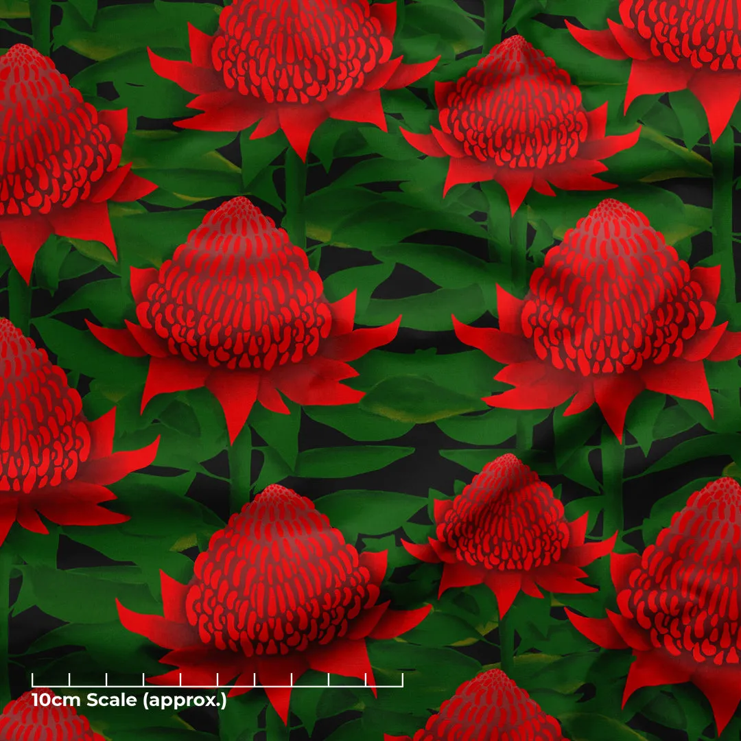 Majestic Waratahs - Pre-Order